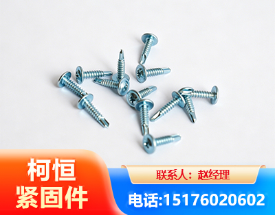 汕尾华司钻尾丝