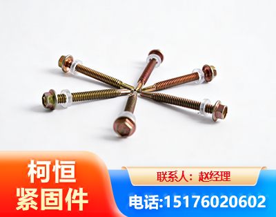 汕尾六角钻尾丝