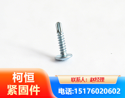 汕尾华司钻尾丝